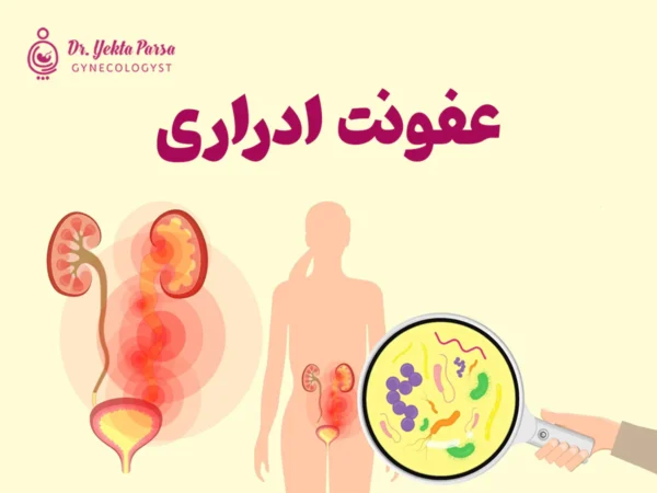 عفونت ادراری چیست